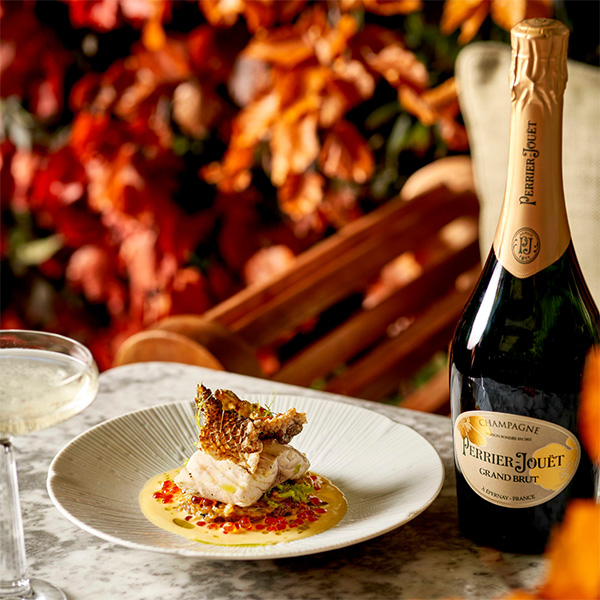 Fish dish with champagne 