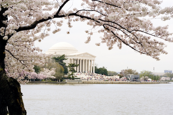 A city break in The Dupont Circle hotel in Washington DC means blossoms in the springtime.