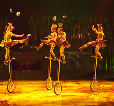Four performers on unicycles