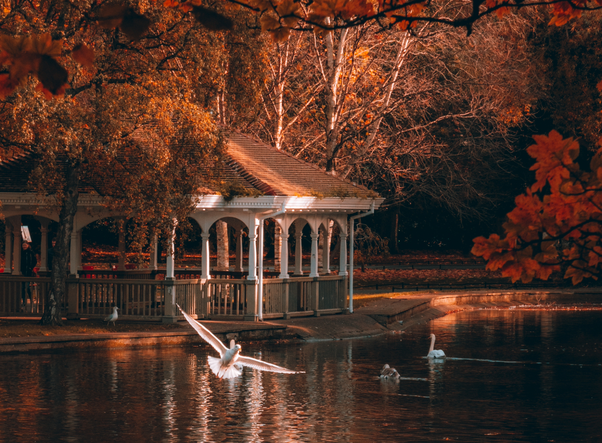 St Stephens Green in autumn collours